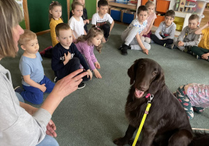 Dzieci z grupy Sensorki uczą się jak prawidłowo głaskać psa