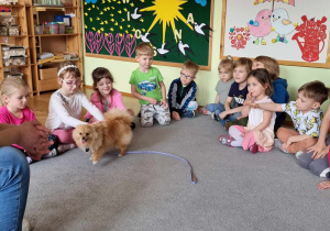 Dzieci uczą się jak głaskać psa