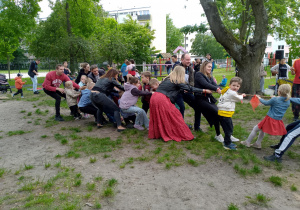 Zdjęcie 10 na 31
