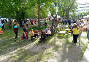 Zdjęcie 21 na 31