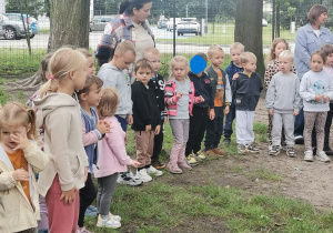 Zdjęcie 10 na 16