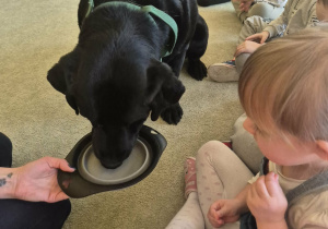 Dzieci karmią psa smakołykami