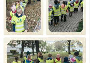 Kolaż 3 zdjęć przedstawiający dzieci w odblaskowych kamizelkach idących parami na spacer
