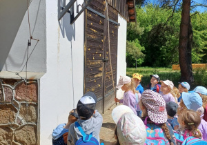 Zdjęcie 20 na 31