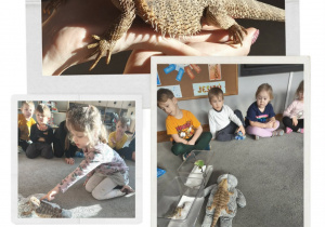 Dzieci podczas warsztatów o zwierzętach