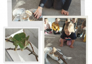 Dzieci oglądają jaszczurkę