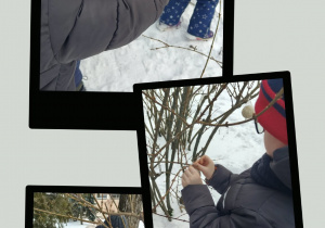 Dzieci dokarmiają ptaki w ogrodzie przedszkolnym