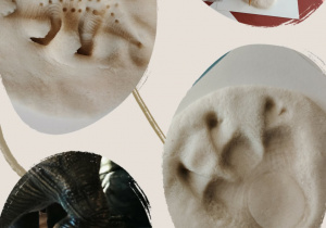 Dzieci wykonują odciski dinozaurów w masie solnej