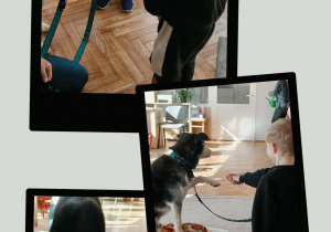 Warsztaty z dogoterapii