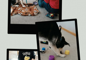 Dogoterapia w grupie