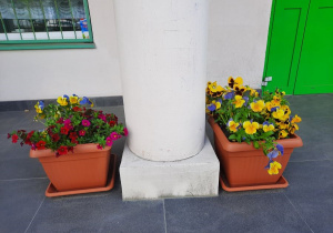 Kwiaty doniczkowe - dekoracja przed wejściem do przedszkola