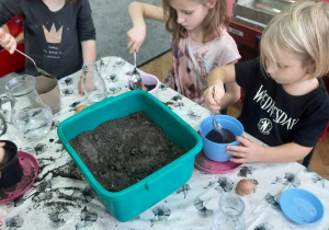 Dzieci sadzą cebulę w celu hodowli szczypioru