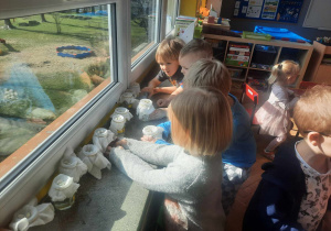 Dzieci zakładają hodowlę fasoli w słoiczkach