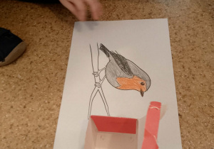 Chłopiec koloruje obrazek rudzika