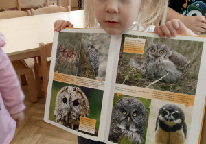 Dziewczynka z książką o sowach
