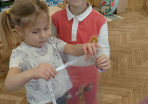 Dziewczynki z piórami puchacza