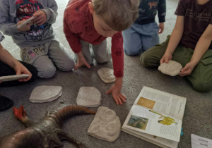 Dzieci oglądają skamieliny roślin i zwierząt z gipsu