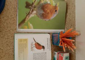 Rudzik w książce i przewodniku o ptakach