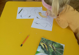 Dziewczynka koloruje obrazek wilgi