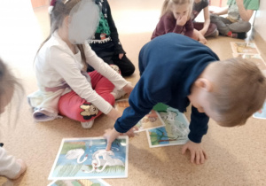 Chłopiec wybiera ilustrację z historyjki obrazkowej