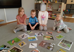 Dzieci z ilustracjami różnych gatunków ptaków