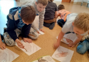 Chłopcy kolorują płomykówkę według wzoru