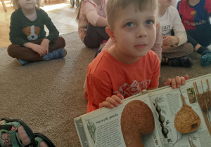 Chłopiec z książką o gniazdach ptaków